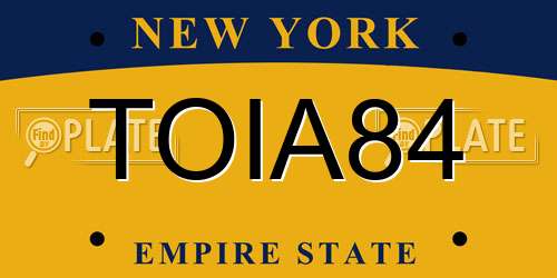 TOIA84 New York License Plate