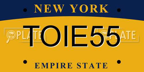 TOIE55 New York License Plate