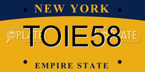 TOIE58 New York License Plate