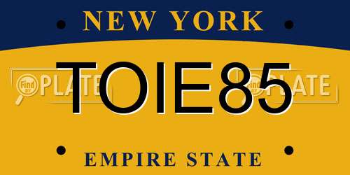 TOIE85 New York License Plate