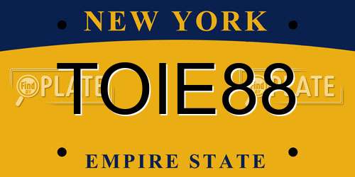 TOIE88 New York License Plate