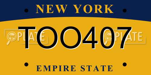 TOO407 New York License Plate