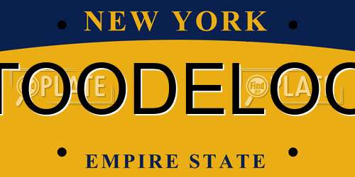 TOODELOO New York License Plate