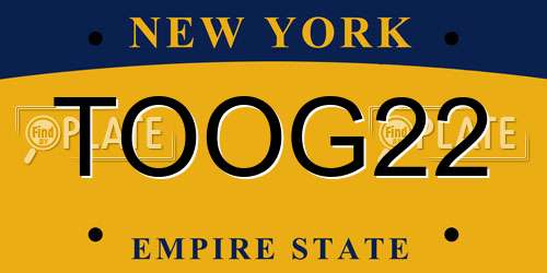 TOOG22 New York License Plate