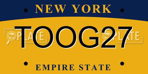 TOOG27 New York License Plate