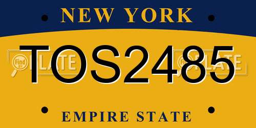 TOS2485 New York License Plate