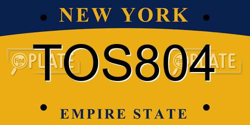 TOS804 New York License Plate