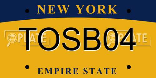 TOSB04 New York License Plate
