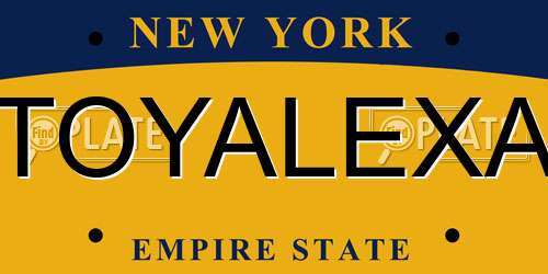 TOYALEXA New York License Plate