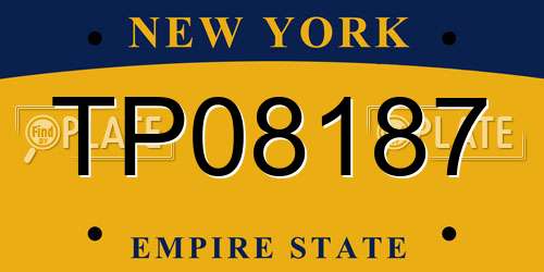 TP08187 New York License Plate
