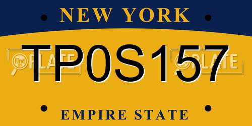 TP0S157 New York License Plate