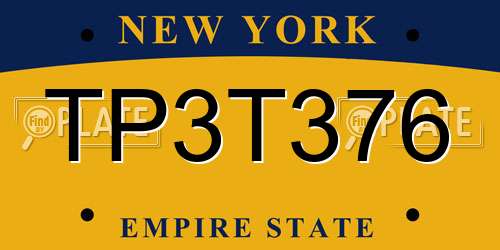 TP3T376 New York License Plate