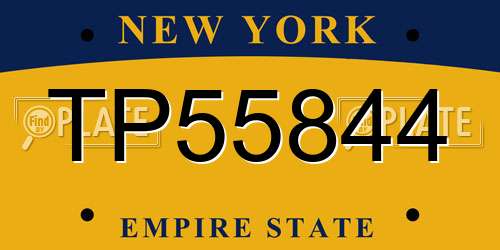 TP55844 New York License Plate