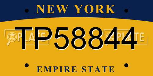 TP58844 New York License Plate