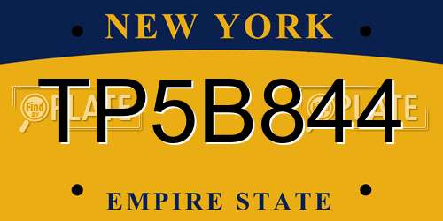 TP5B844 New York License Plate