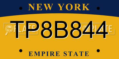 TP8B844 New York License Plate