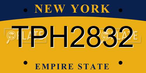 TPH2832 New York License Plate