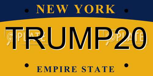 TRUMP20 New York License Plate