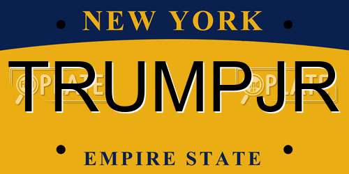 TRUMPJR New York License Plate