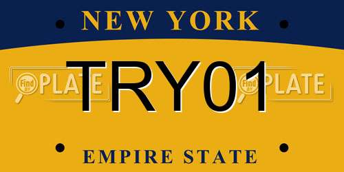 TRY01 New York License Plate