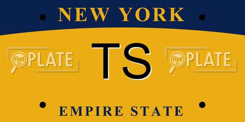TS New York License Plate