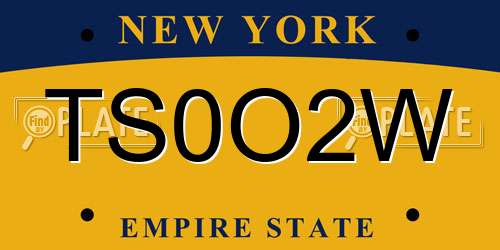 TS0O2W New York License Plate