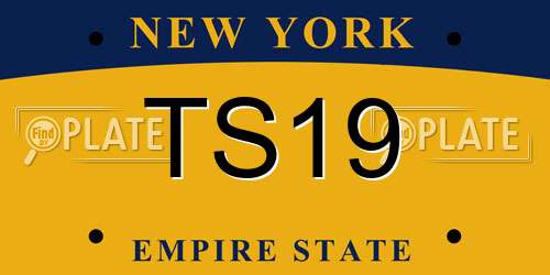 TS19 New York License Plate