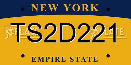 TS2D221 New York License Plate