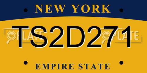 TS2D271 New York License Plate