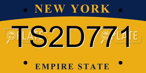 TS2D771 New York License Plate