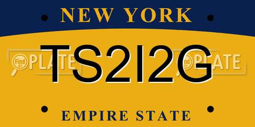 TS2I2G New York License Plate