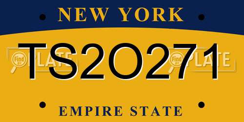 TS2O271 New York License Plate