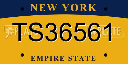 TS36561 New York License Plate