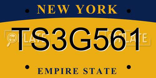 TS3G561 New York License Plate