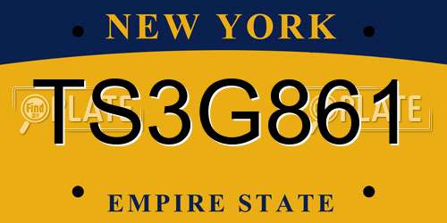 TS3G861 New York License Plate