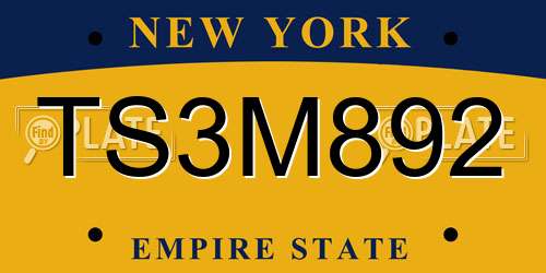 TS3M892 New York License Plate