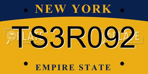 TS3R092 New York License Plate