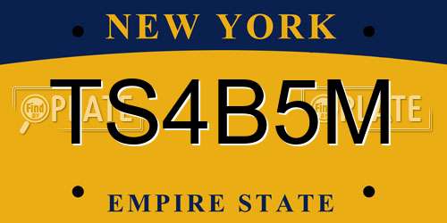 TS4B5M New York License Plate