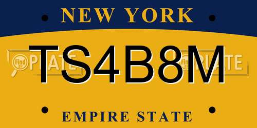 TS4B8M New York License Plate