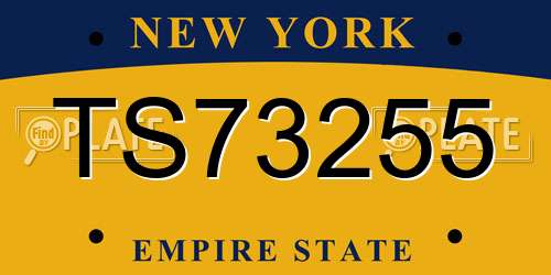TS73255 New York License Plate