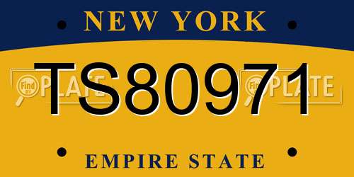 TS80971 New York License Plate