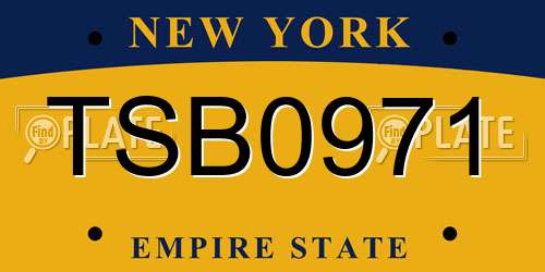 TSB0971 New York License Plate