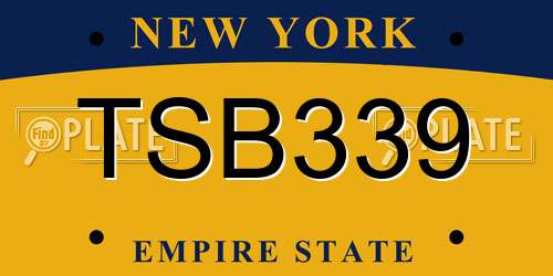 TSB339 New York License Plate