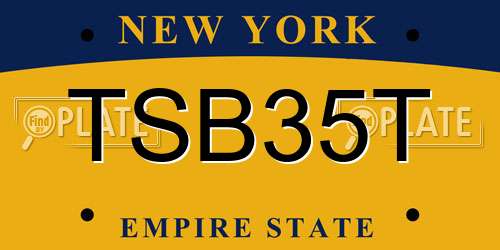 TSB35T New York License Plate