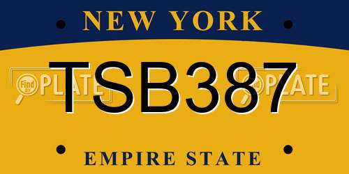 TSB387 New York License Plate