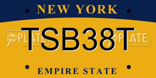 TSB38T New York License Plate