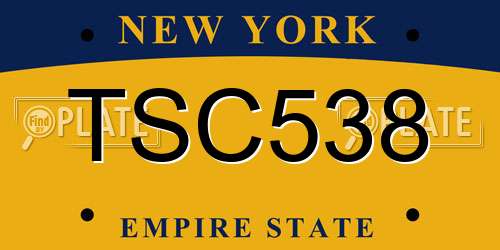 TSC538 New York License Plate