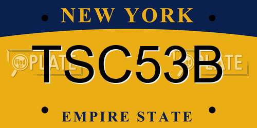 TSC53B New York License Plate