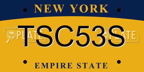 TSC53S New York License Plate