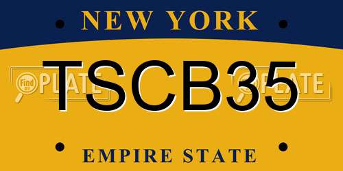 TSCB35 New York License Plate